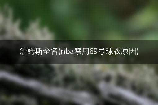 詹姆斯全名(nba禁用69号球衣原因)