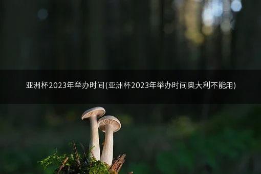 亚洲杯2023年举办时间(亚洲杯2023年举办时间奥大利不能用)