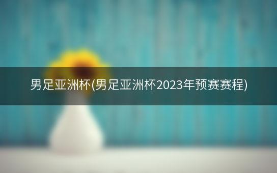 男足亚洲杯(男足亚洲杯2023年预赛赛程)