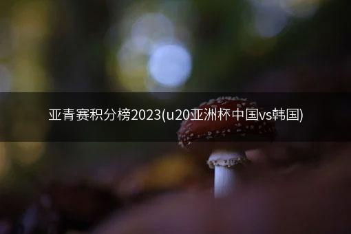 亚青赛积分榜2023(u20亚洲杯中国vs韩国)