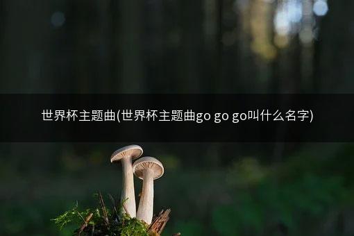 世界杯主题曲(世界杯主题曲go go go叫什么名字)