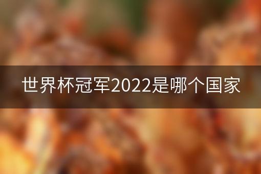 世界杯冠军2022是哪个国家