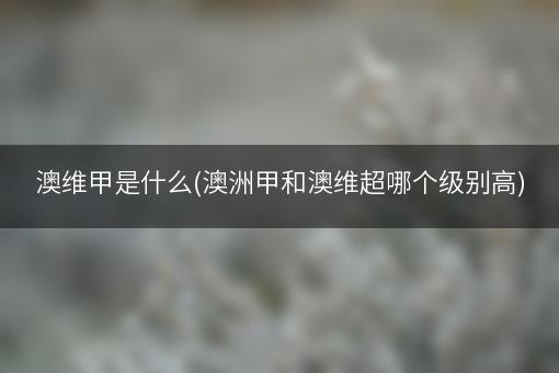 澳维甲是什么(澳洲甲和澳维超哪个级别高)