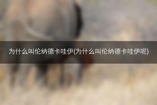 为什么叫伦纳德卡哇伊(为什么叫伦纳德卡哇伊呢)