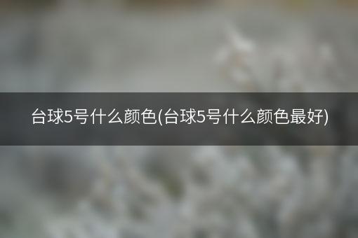 台球5号什么颜色(台球5号什么颜色最好)