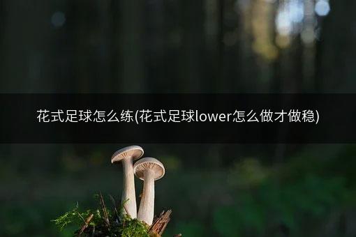 花式足球怎么练(花式足球lower怎么做才做稳)