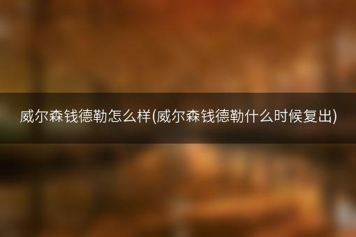 威尔森钱德勒怎么样(威尔森钱德勒什么时候复出)