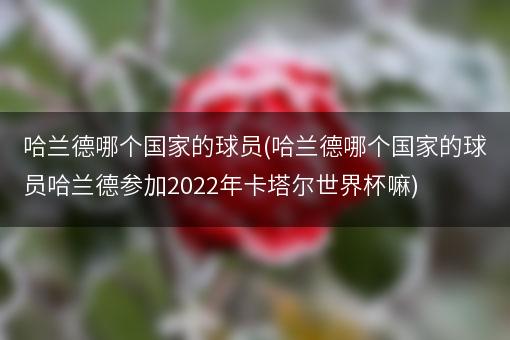 哈兰德哪个国家的球员(哈兰德哪个国家的球员哈兰德参加2022年卡塔尔世界杯嘛)