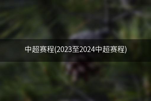 中超赛程(2023至2024中超赛程)