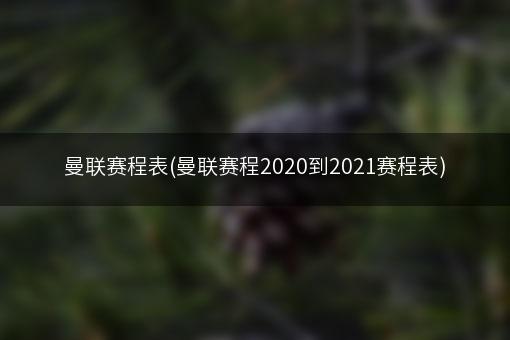 曼联赛程表(曼联赛程2020到2021赛程表)