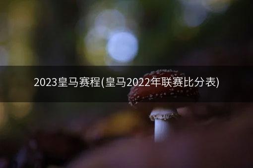 2023皇马赛程(皇马2022年联赛比分表)