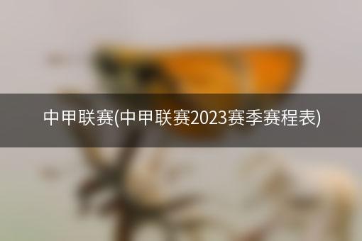 中甲联赛(中甲联赛2023赛季赛程表)