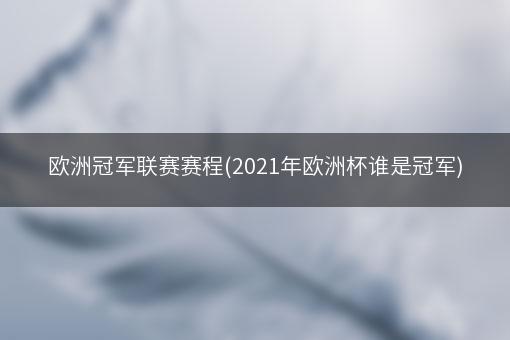 欧洲冠军联赛赛程(2021年欧洲杯谁是冠军)