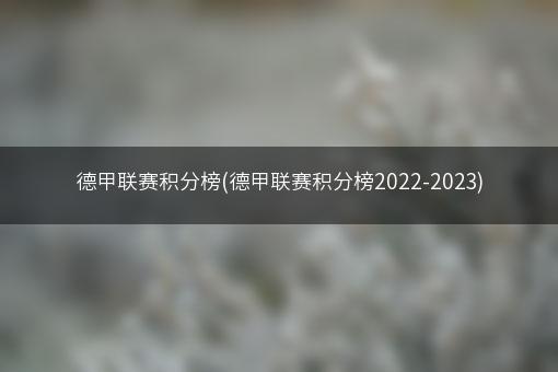 德甲联赛积分榜(德甲联赛积分榜2022-2023)