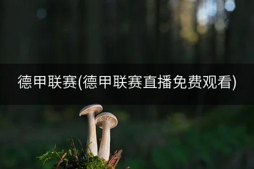 德甲联赛(德甲联赛直播免费观看)