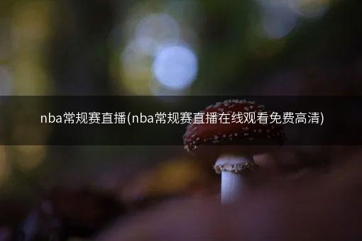 nba常规赛直播(nba常规赛直播在线观看免费高清)