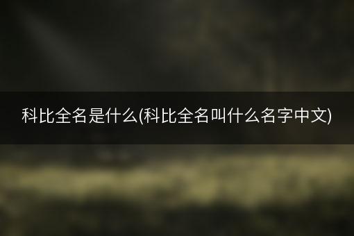 科比全名是什么(科比全名叫什么名字中文)