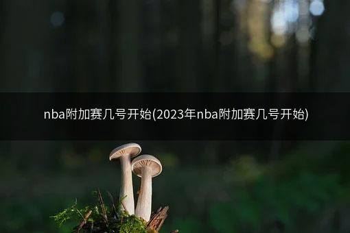 nba附加赛几号开始(2023年nba附加赛几号开始)