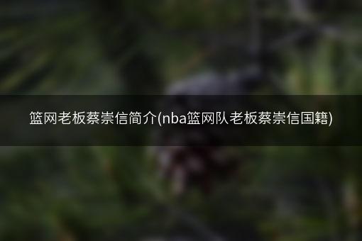 篮网老板蔡崇信简介(nba篮网队老板蔡崇信国籍)