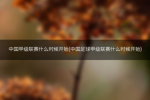 中国甲级联赛什么时候开始(中国足球甲级联赛什么时候开始)