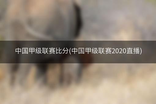 中国甲级联赛比分(中国甲级联赛2020直播)