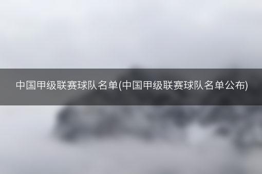 中国甲级联赛球队名单(中国甲级联赛球队名单公布)