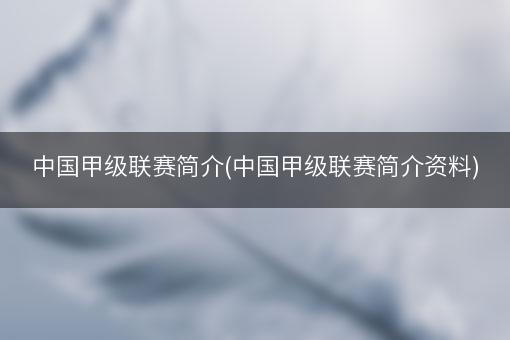 中国甲级联赛简介(中国甲级联赛简介资料)