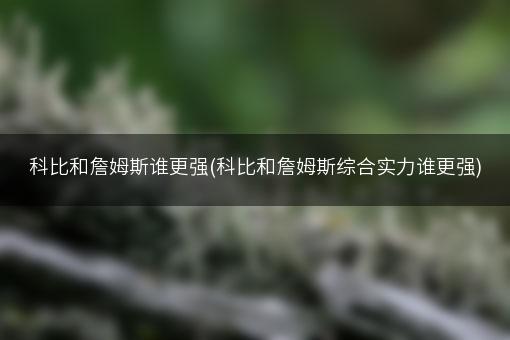 科比和詹姆斯谁更强(科比和詹姆斯综合实力谁更强)