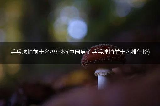 乒乓球拍前十名排行榜(中国男子乒乓球拍前十名排行榜)