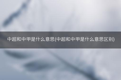 中超和中甲是什么意思(中超和中甲是什么意思区别)