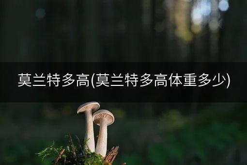 莫兰特多高(莫兰特多高体重多少)