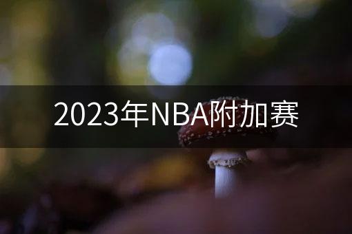 2023年NBA附加赛