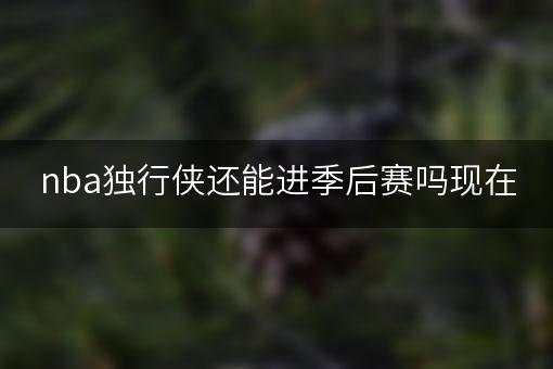 nba独行侠还能进季后赛吗现在