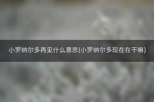 小罗纳尔多再见什么意思(小罗纳尔多现在在干嘛)