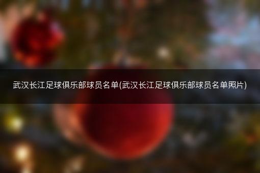 武汉长江足球俱乐部球员名单(武汉长江足球俱乐部球员名单照片)