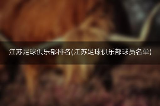 江苏足球俱乐部排名(江苏足球俱乐部球员名单)