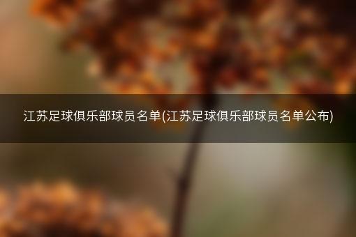 江苏足球俱乐部球员名单(江苏足球俱乐部球员名单公布)