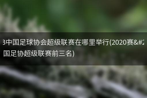 2023中国足球协会超级联赛在哪里举行(2020赛季中国足协超级联赛前三名)