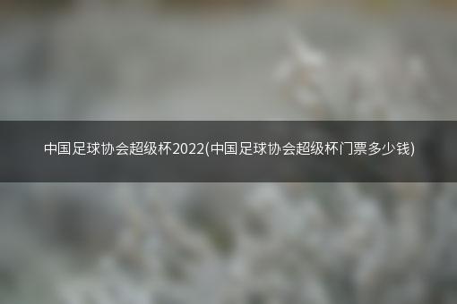 中国足球协会超级杯2022(中国足球协会超级杯门票多少钱)