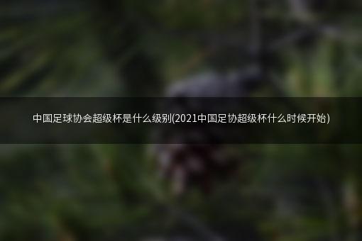 中国足球协会超级杯是什么级别(2021中国足协超级杯什么时候开始)