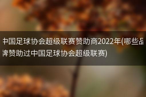 中国足球协会超级联赛赞助商2022年(哪些品牌赞助过中国足球协会超级联赛)