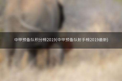 中甲预备队积分榜2019(中甲预备队射手榜2019最新)