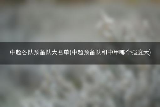 中超各队预备队大名单(中超预备队和中甲哪个强度大)