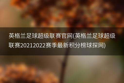 英格兰足球超级联赛官网(英格兰足球超级联赛20212022赛季最新积分榜球探网)