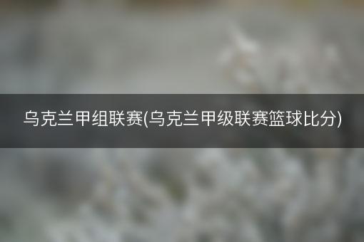 乌克兰甲组联赛(乌克兰甲级联赛篮球比分)