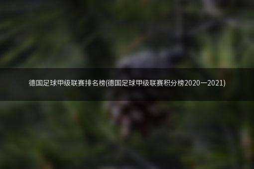 德国足球甲级联赛排名榜(德国足球甲级联赛积分榜2020一2021)