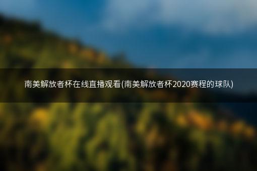 南美解放者杯在线直播观看(南美解放者杯2020赛程的球队)