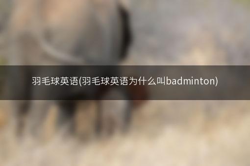 羽毛球英语(羽毛球英语为什么叫badminton)