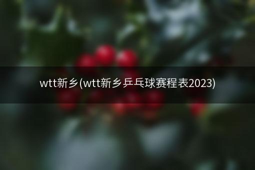 wtt新乡(wtt新乡乒乓球赛程表2023)