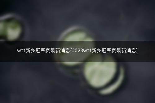 wtt新乡冠军赛最新消息(2023wtt新乡冠军赛最新消息)